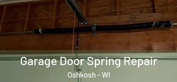  Garage Door Spring Repair Oshkosh - WI